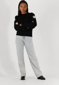 FABIENNE CHAPOT e trui biba pullover><noscript><img width=