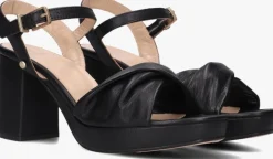 zwarte fred de la bretoniere sandalen 163010174