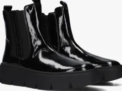 GABOR e enkelboots 743.2>DAMES Boots