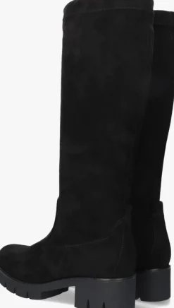 GABOR e hoge laarzen 719><noscript><img width=