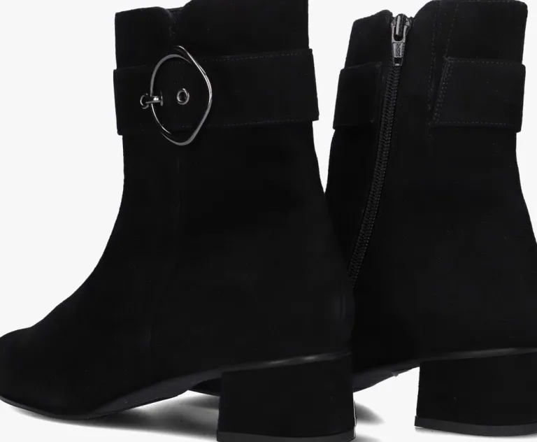 HASSIA e enkellaarsjes 303095>DAMES Enkellaarsjes