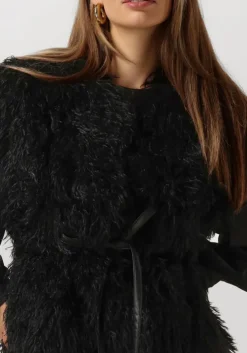 zwarte ibana gilet jannes