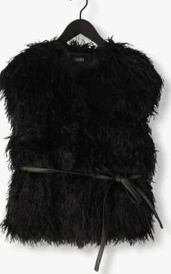 zwarte ibana gilet jannes