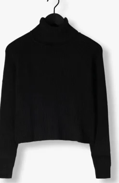 MINUS e coltrui ava knit turtleneck><noscript><img width=