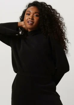 MY ESSENTIAL WARDROBE e sweater ellemw collar bloues>DAMES Truien & Vesten