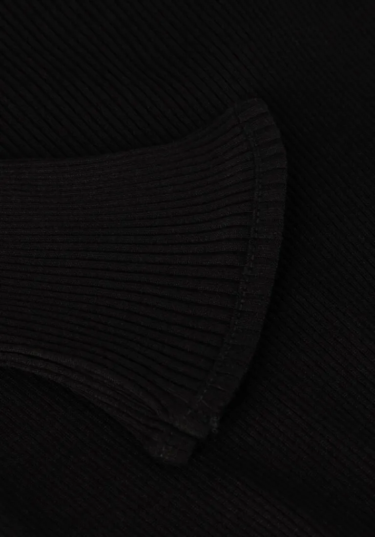 ROSEMUNDE e coltrui silk t-shirt w/ roller neck>DAMES Truien & Vesten