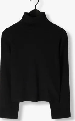 SELECTED FEMME e coltrui slfkamma ls knit roll neck><noscript><img width=