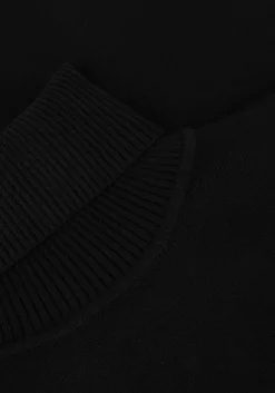 SELECTED FEMME e coltrui slfkamma ls knit roll neck><noscript><img width=