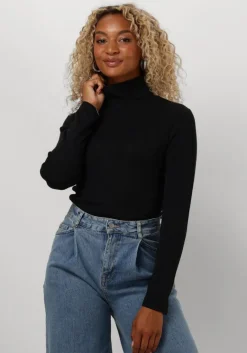 SELECTED FEMME e trui slfnaja ls knit roll neck>DAMES Truien & Vesten