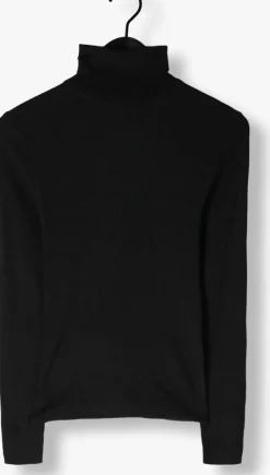 SELECTED FEMME e trui slfnaja ls knit roll neck><noscript><img width=