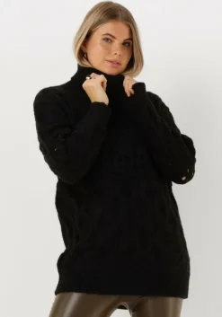 SILVIAN HEACH e coltrui lupetto m/l- sweater>DAMES Truien & Vesten