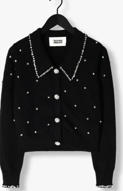 SILVIAN HEACH e vest cardigan nolley><noscript><img width=