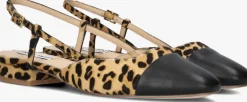 STEVE MADDEN e slingbacks belinda-l>DAMES Hakken|Slingbacks