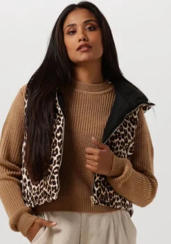 zwarte suncoo bodywarmer dazzle