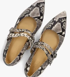 TORAL e ballerina's coeur><noscript><img width=