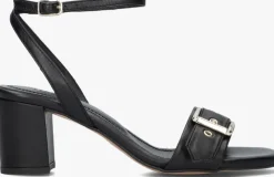 zwarte toral sandalen met hak melissa led